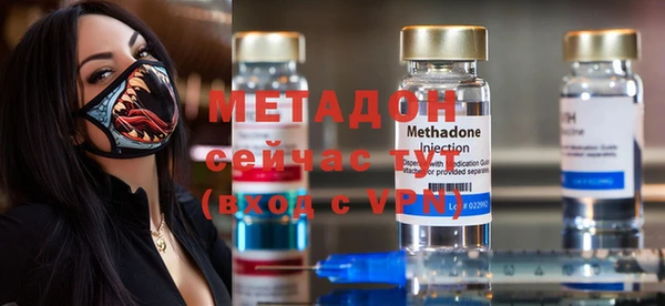 прущие грибы Верея