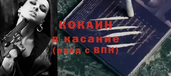 прущие грибы Верея