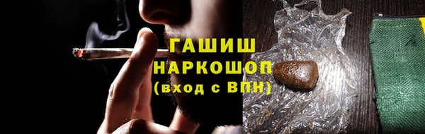 прущие грибы Верея