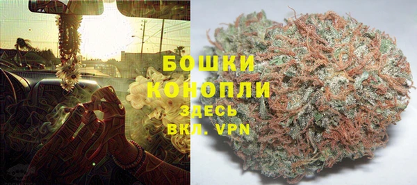 прущие грибы Верея