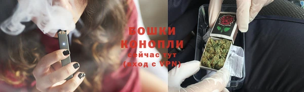 прущие грибы Верея