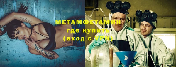 прущие грибы Верея