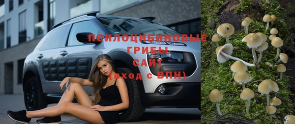 прущая мука Верхний Тагил