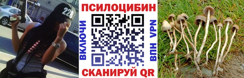 Галлюциногенные грибы мухоморы Каргат