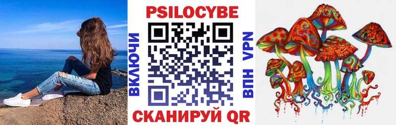 купить наркоту Каргат Галлюциногенные грибы Psilocybine cubensis